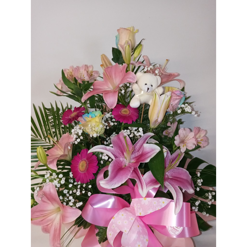Nacimiento rosa